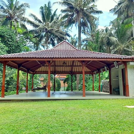 As I Am Ubud Retreat Экстерьер фото