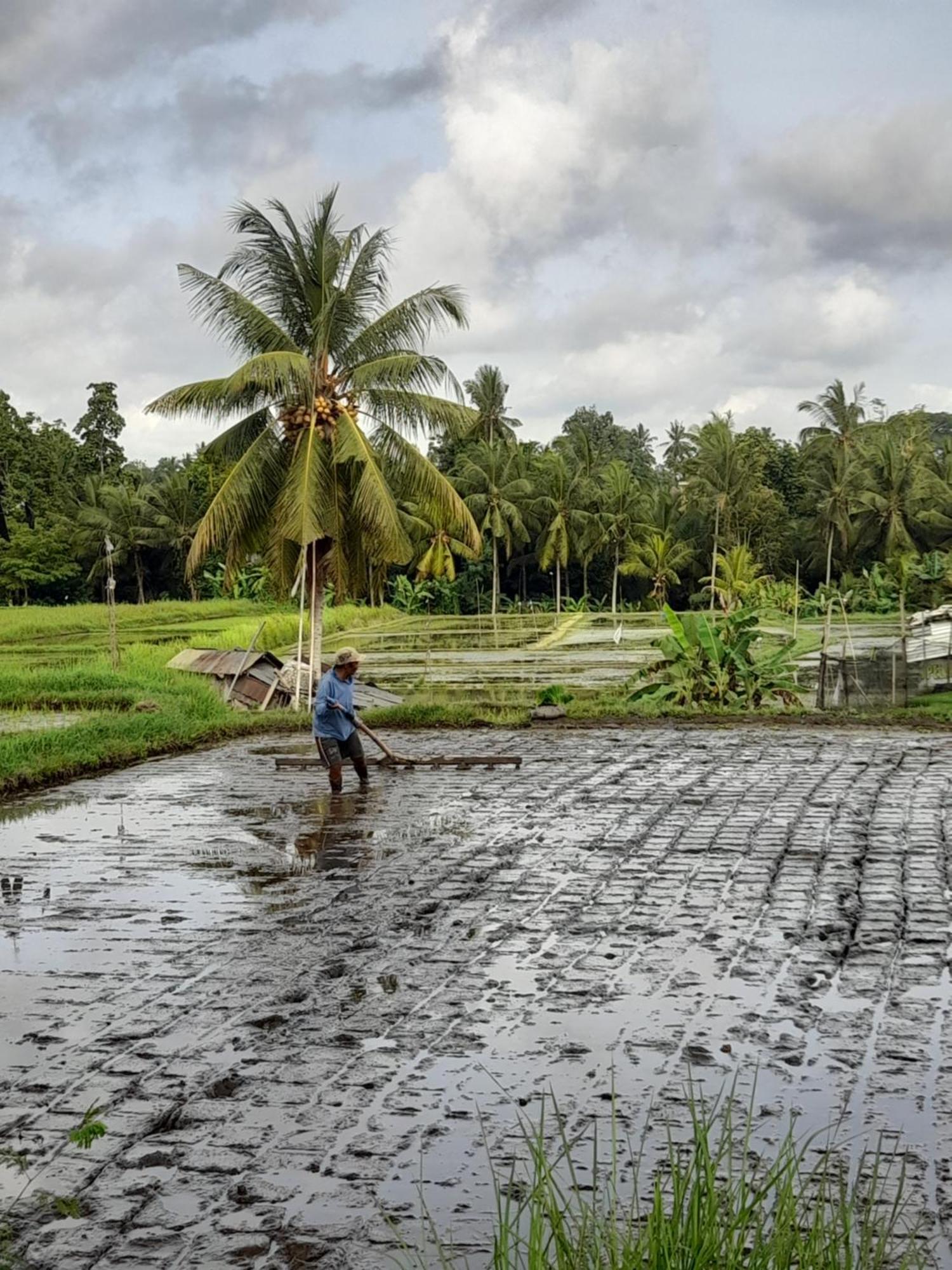 As I Am Ubud Retreat Экстерьер фото