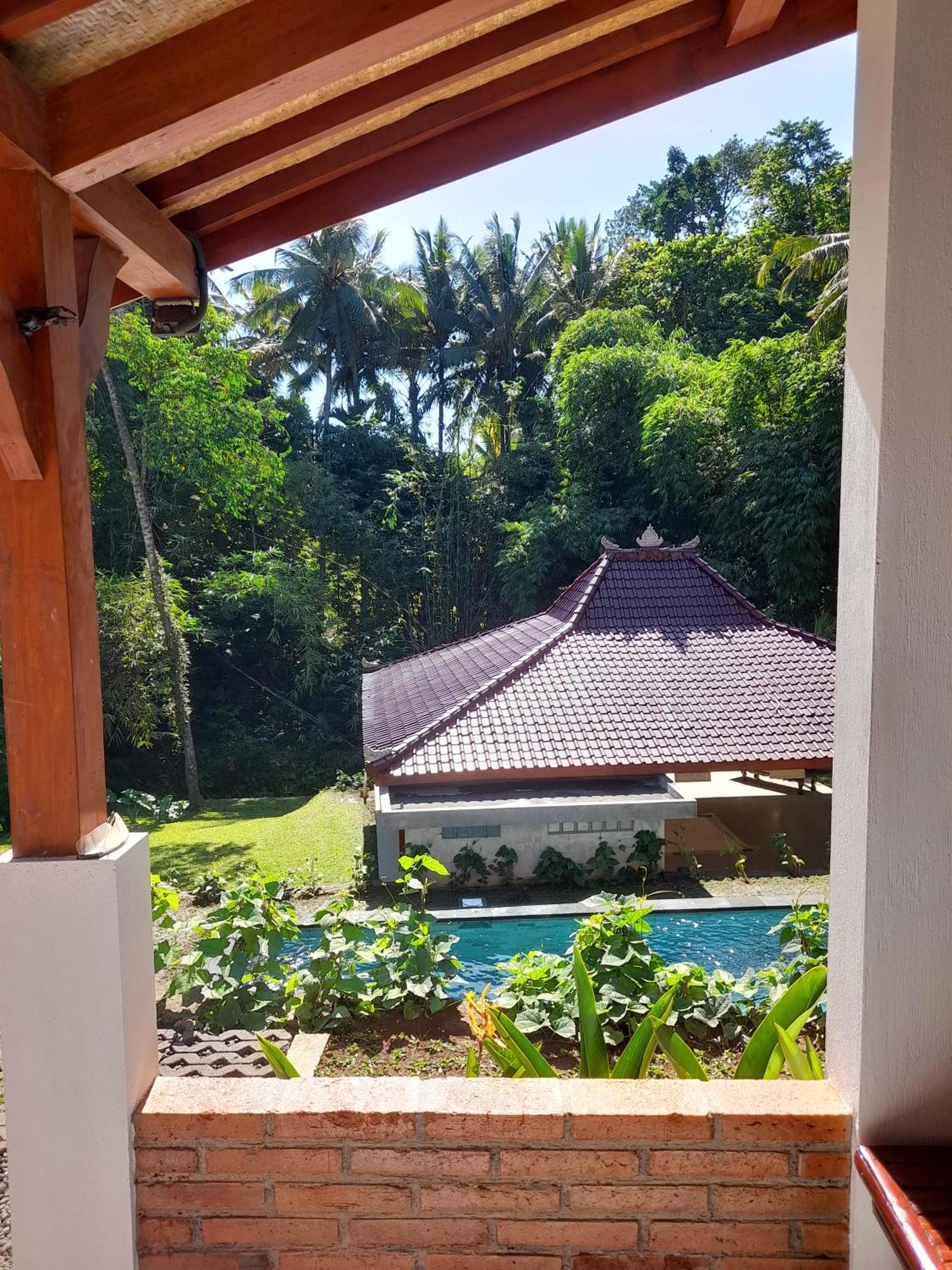 As I Am Ubud Retreat Экстерьер фото